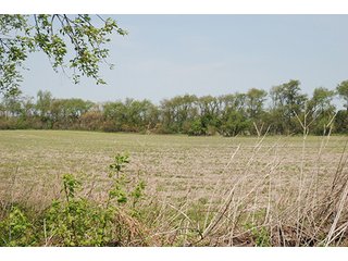 Property photo 34 - REAL ESTATE AUCTION - 259+/- ACRES OFFERED IN 7 TRACTS IN LAPORTE COUNTY