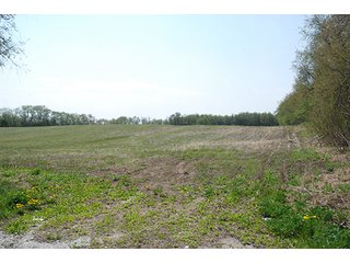 Property photo 2 - REAL ESTATE AUCTION - 259+/- ACRES OFFERED IN 7 TRACTS IN LAPORTE COUNTY