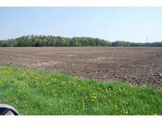 Property photo 5 - REAL ESTATE AUCTION - 259+/- ACRES OFFERED IN 7 TRACTS IN LAPORTE COUNTY