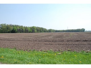 Property photo 7 - REAL ESTATE AUCTION - 259+/- ACRES OFFERED IN 7 TRACTS IN LAPORTE COUNTY