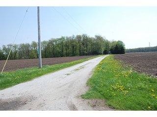 Property photo 8 - REAL ESTATE AUCTION - 259+/- ACRES OFFERED IN 7 TRACTS IN LAPORTE COUNTY