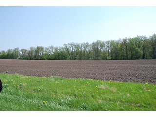 Property photo 9 - REAL ESTATE AUCTION - 259+/- ACRES OFFERED IN 7 TRACTS IN LAPORTE COUNTY