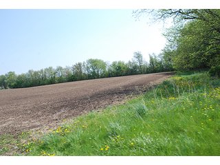 Property photo 1 - REAL ESTATE AUCTION - 259+/- ACRES OFFERED IN 7 TRACTS IN LAPORTE COUNTY