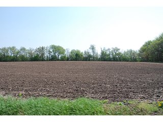 Property photo 14 - REAL ESTATE AUCTION - 259+/- ACRES OFFERED IN 7 TRACTS IN LAPORTE COUNTY