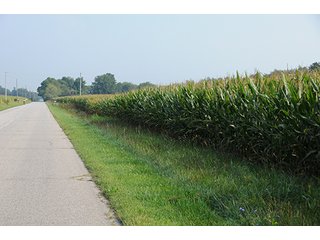 Property photo 15 - REAL ESTATE AUCTION - 259+/- ACRES OFFERED IN 7 TRACTS IN LAPORTE COUNTY