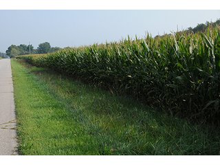 Property photo 16 - REAL ESTATE AUCTION - 259+/- ACRES OFFERED IN 7 TRACTS IN LAPORTE COUNTY