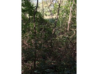 Property photo 17 - REAL ESTATE AUCTION - 259+/- ACRES OFFERED IN 7 TRACTS IN LAPORTE COUNTY