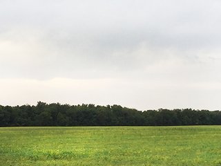 Property photo 4 - FARMLAND AUCTION - 193+/- ACRES IN 3 TRACTS IN CLARK COUNTY