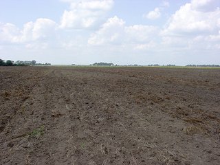 Property photo 1 - PRODUCTIVE FARMLAND AUCTION-92.7+/- ACRES OFFERED IN 1 TRACT IN KANKAKEE COUNTY