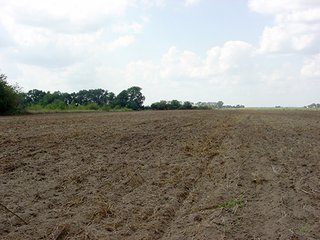 Property photo 2 - PRODUCTIVE FARMLAND AUCTION-92.7+/- ACRES OFFERED IN 1 TRACT IN KANKAKEE COUNTY