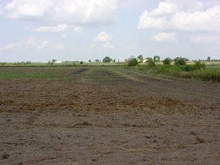 Property photo 3 - PRODUCTIVE FARMLAND AUCTION-92.7+/- ACRES OFFERED IN 1 TRACT IN KANKAKEE COUNTY