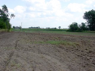 Property photo 4 - PRODUCTIVE FARMLAND AUCTION-92.7+/- ACRES OFFERED IN 1 TRACT IN KANKAKEE COUNTY