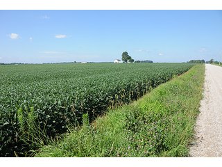 Property photo 13 - PRIME FARMLAND AUCTION - 716+/- ACRES OFFERED IN 8 TRACTS IN CASS & CARROLL COUNTIES