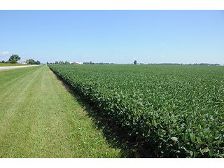 Property photo 30 - PRIME FARMLAND AUCTION - 716+/- ACRES OFFERED IN 8 TRACTS IN CASS & CARROLL COUNTIES
