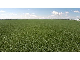 Tract 1 - PRIME FARMLAND AUCTION - 716+/- ACRES OFFERED IN 8 TRACTS IN CASS & CARROLL COUNTIES