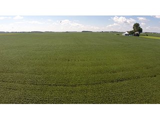 Tract 1 - PRIME FARMLAND AUCTION - 716+/- ACRES OFFERED IN 8 TRACTS IN CASS & CARROLL COUNTIES