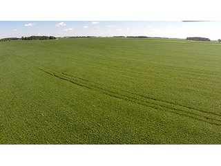 Tract 3 - PRIME FARMLAND AUCTION - 716+/- ACRES OFFERED IN 8 TRACTS IN CASS & CARROLL COUNTIES
