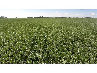 Tract 3 - PRIME FARMLAND AUCTION - 716+/- ACRES OFFERED IN 8 TRACTS IN CASS & CARROLL COUNTIES