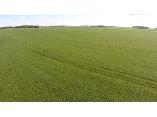 Tract 3 - PRIME FARMLAND AUCTION - 716+/- ACRES OFFERED IN 8 TRACTS IN CASS & CARROLL COUNTIES