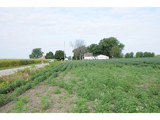 Property photo 9 - LAND AUCTION-166+/- ACRES OFFERED IN 4 TRACTS IN CASS COUNTY