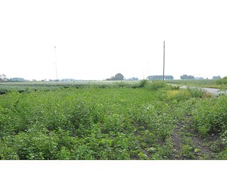 Property photo 8 - LAND AUCTION-166+/- ACRES OFFERED IN 4 TRACTS IN CASS COUNTY