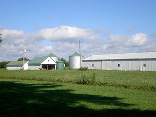 Property photo 1 - FARMLAND AUCTION - 334+/- ACRES ON 6 TRACTS IN WAYNE COUNTY