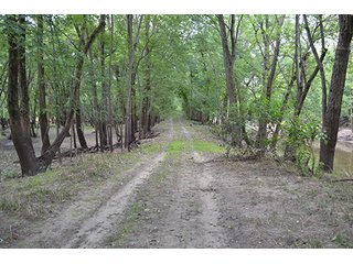 Property photo 25 - REAL ESTATE AUCTION - 379+/- ACRES OFFERED IN 6 TRACTS IN JASPER COUNTY