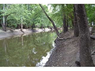 Property photo 26 - REAL ESTATE AUCTION - 379+/- ACRES OFFERED IN 6 TRACTS IN JASPER COUNTY