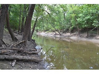 Property photo 27 - REAL ESTATE AUCTION - 379+/- ACRES OFFERED IN 6 TRACTS IN JASPER COUNTY