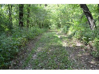 Property photo 28 - REAL ESTATE AUCTION - 379+/- ACRES OFFERED IN 6 TRACTS IN JASPER COUNTY