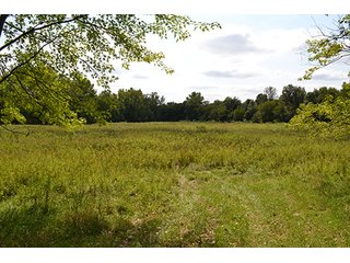 Property photo 29 - REAL ESTATE AUCTION - 379+/- ACRES OFFERED IN 6 TRACTS IN JASPER COUNTY