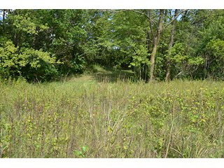 Property photo 33 - REAL ESTATE AUCTION - 379+/- ACRES OFFERED IN 6 TRACTS IN JASPER COUNTY