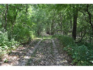 Property photo 34 - REAL ESTATE AUCTION - 379+/- ACRES OFFERED IN 6 TRACTS IN JASPER COUNTY