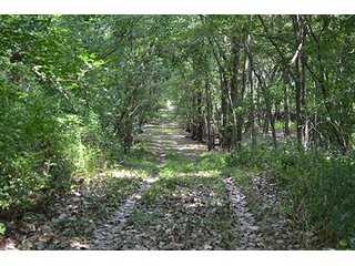 Property photo 23 - REAL ESTATE AUCTION - 379+/- ACRES OFFERED IN 6 TRACTS IN JASPER COUNTY