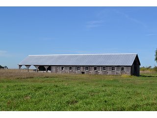 Property photo 12 - REAL ESTATE AUCTION - 379+/- ACRES OFFERED IN 6 TRACTS IN JASPER COUNTY
