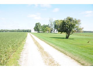 Property photo 3 - REAL ESTATE AUCTION - 379+/- ACRES OFFERED IN 6 TRACTS IN JASPER COUNTY