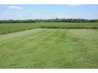 Property photo 38 - REAL ESTATE AUCTION - 379+/- ACRES OFFERED IN 6 TRACTS IN JASPER COUNTY