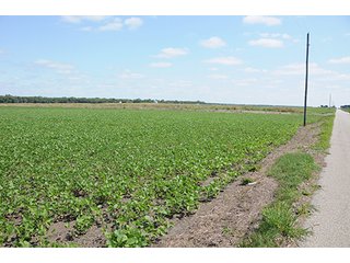 Property photo 35 - REAL ESTATE AUCTION - 379+/- ACRES OFFERED IN 6 TRACTS IN JASPER COUNTY