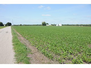 Property photo 1 - REAL ESTATE AUCTION - 379+/- ACRES OFFERED IN 6 TRACTS IN JASPER COUNTY