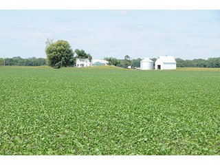 Property photo 5 - REAL ESTATE AUCTION - 379+/- ACRES OFFERED IN 6 TRACTS IN JASPER COUNTY