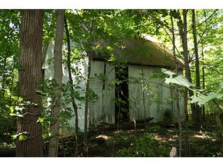 Property photo 7 - REAL ESTATE AUCTION - 86 ACRES IN 3 TRACTS IN WHITLEY COUNTY