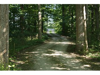 Property photo 9 - REAL ESTATE AUCTION - 86 ACRES IN 3 TRACTS IN WHITLEY COUNTY
