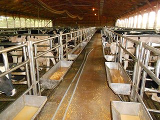 veal barn pens - REAL ESTATE AUCTION-25 ACRES OFFERED IN 2 TRACTS IN NE ALLEN COUNTY