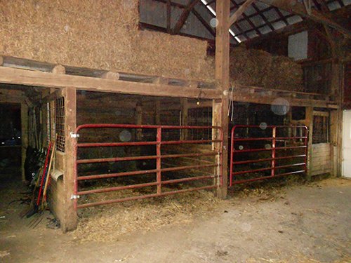 Property photo 23 - REAL ESTATE AUCTION-25 ACRES OFFERED IN 2 TRACTS IN NE ALLEN COUNTY