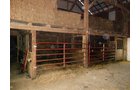 Property photo 23 - REAL ESTATE AUCTION-25 ACRES OFFERED IN 2 TRACTS IN NE ALLEN COUNTY