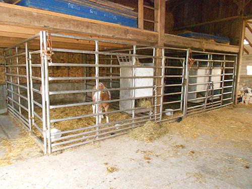 stainless steel box stalls - REAL ESTATE AUCTION-25 ACRES OFFERED IN 2 TRACTS IN NE ALLEN COUNTY