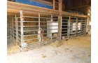 stainless steel box stalls - REAL ESTATE AUCTION-25 ACRES OFFERED IN 2 TRACTS IN NE ALLEN COUNTY