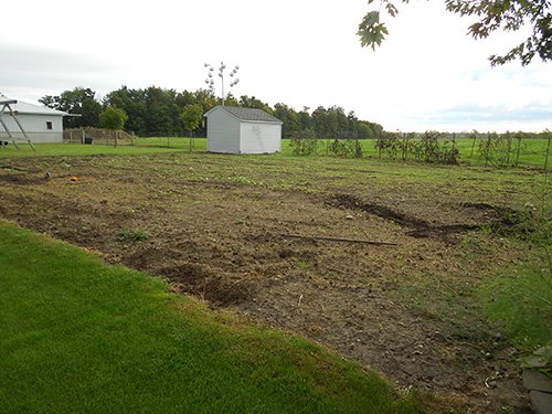 Property photo 5 - REAL ESTATE AUCTION-25 ACRES OFFERED IN 2 TRACTS IN NE ALLEN COUNTY