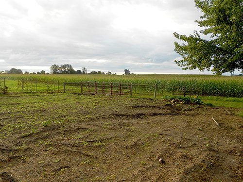 garden area & south corn field - REAL ESTATE AUCTION-25 ACRES OFFERED IN 2 TRACTS IN NE ALLEN COUNTY