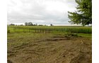 garden area & south corn field - REAL ESTATE AUCTION-25 ACRES OFFERED IN 2 TRACTS IN NE ALLEN COUNTY